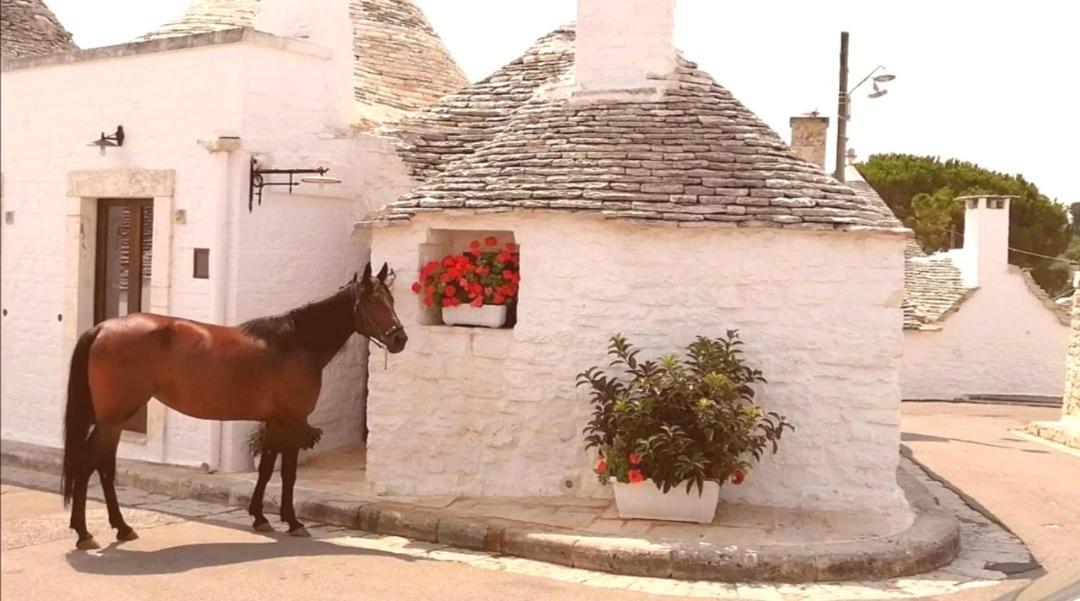 Trulli Resort Dimore Storiche Alberobello Bagian luar foto